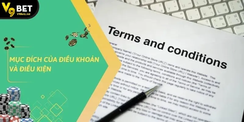Điều Khoản Và Điều Kiện