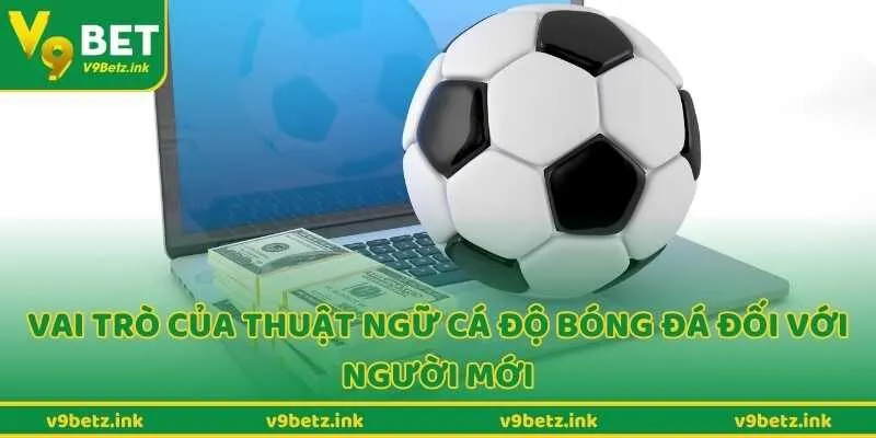 Vai trò của thuật ngữ cá độ bóng đá đối với người mới